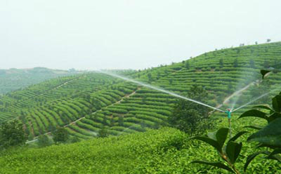 坡地噴灌技術(shù)
