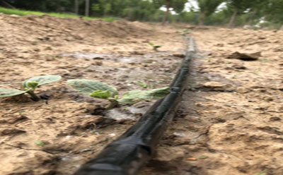 滴灌工程試水